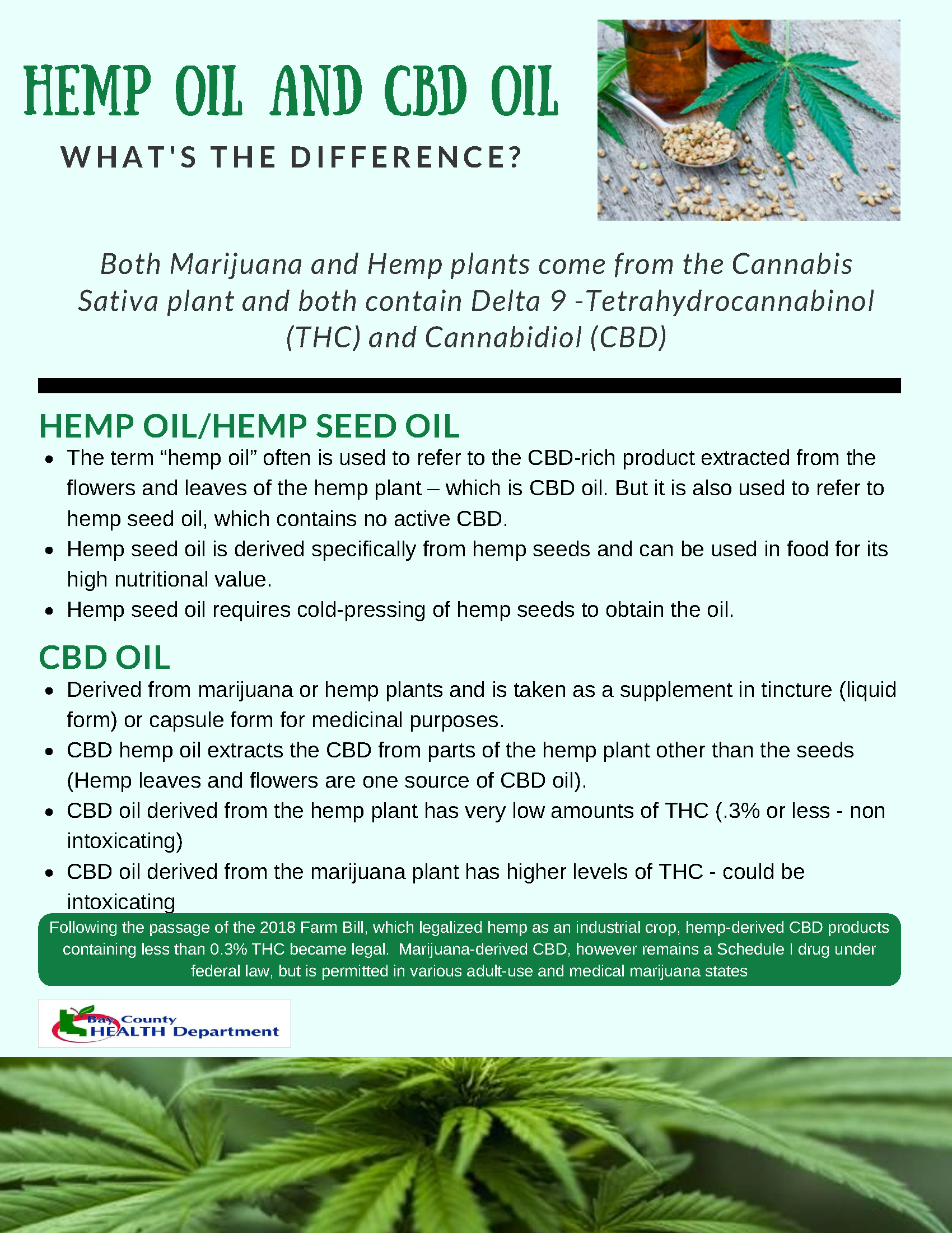Marijuana, Hemp, CBD_2